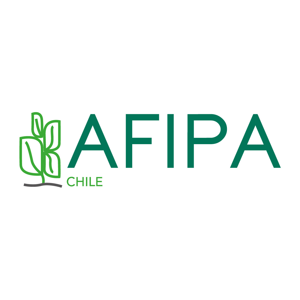 Lee más sobre el artículo ¡AFIPA Chile se renueva!
