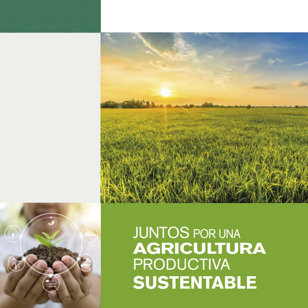 Lee más sobre el artículo AFIPA entrega Agenda 2021 para registro de Buenas Prácticas Agrícolas