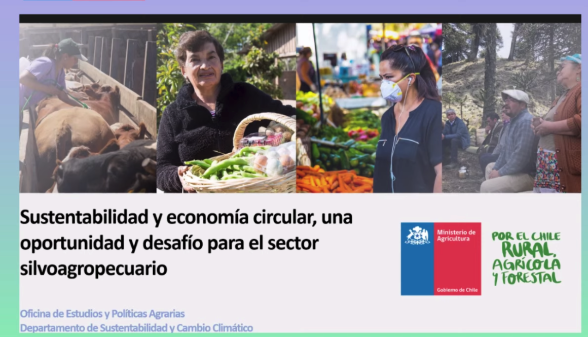 Lee más sobre el artículo AFIPA participa en webinar de ODEPA sobre Economía Circular y Ley REP