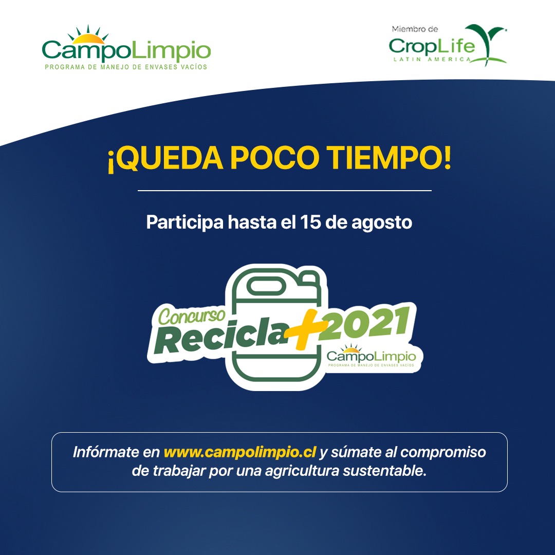 Lee más sobre el artículo Concurso “Recicla Más Campo Limpio 2021” premiará a agricultores y empresas agrícolas que promueven el cuidado del medio ambiente