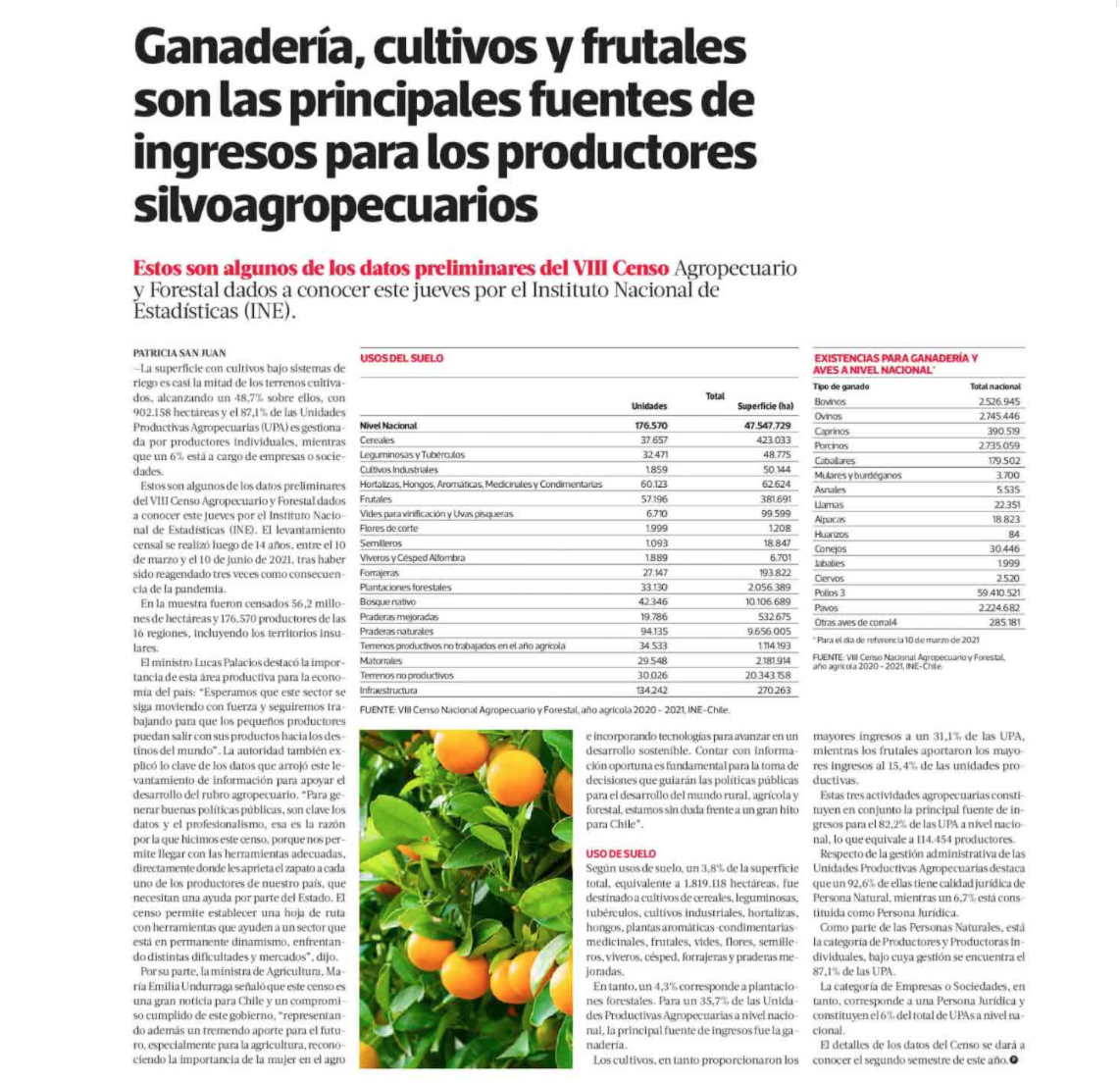 Lee más sobre el artículo Ganadería, cultivos y frutales son las principales fuentes de ingresos para los productores silvoagropecuarios