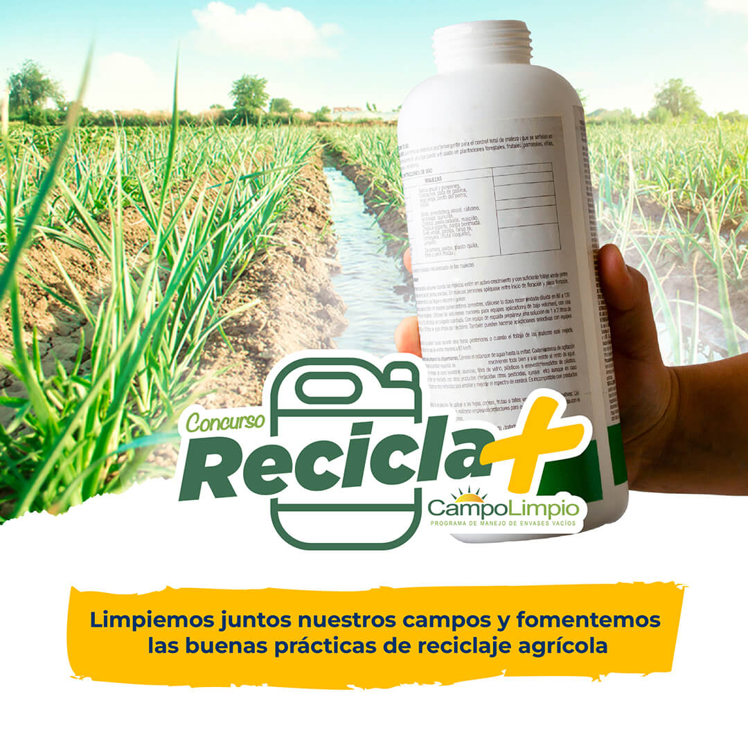 Lee más sobre el artículo Concurso “Recicla Más CampoLimpio 2022” busca motivar y fomentar las prácticas sustentables del sector agrícola en el manejo de envases