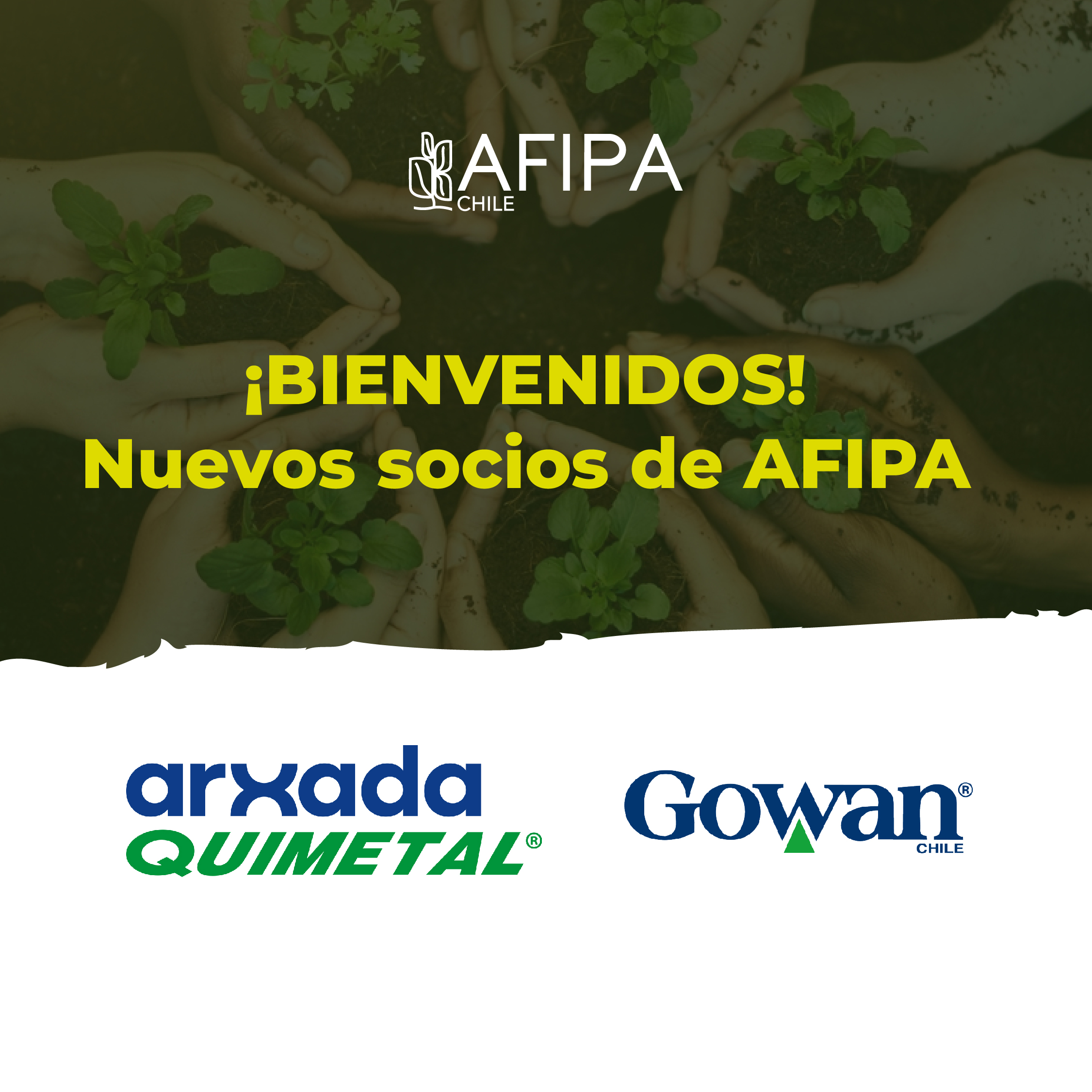 Lee más sobre el artículo Arxada Quimetal y Gowan se incorporan como socios a AFIPA