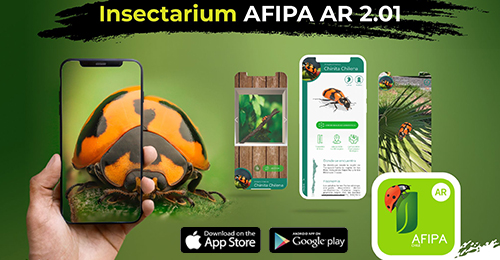 Lee más sobre el artículo Nueva versión de App Insectarium mejora y actualiza experiencia de aprender de insectos con realidad aumentada