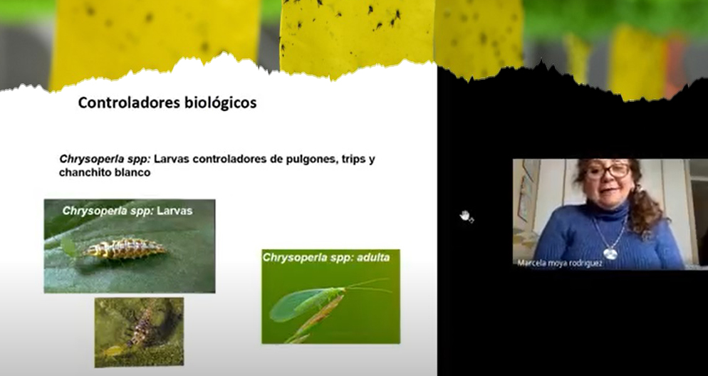 Lee más sobre el artículo Con éxito AFIPA OTEC realiza curso sobre Manejo Integrado de Plagas y calibración de pulverizadores