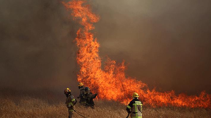Lee más sobre el artículo Incendios forestales afectan a la zona centro sur del país