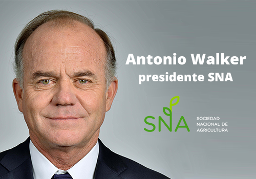 Lee más sobre el artículo AFIPA se reúne con el nuevo presidente de la SNA para abordar los desafíos de la agricultura