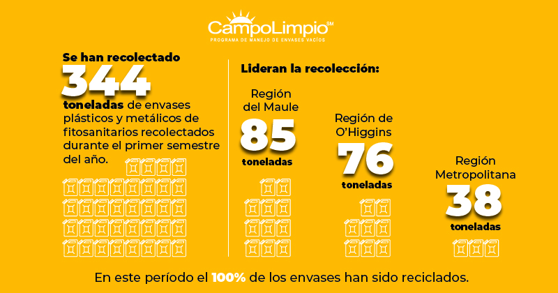 Lee más sobre el artículo CampoLimpio ha recolectado más de 340 toneladas de envases de fitosanitarios durante el primer semestre del año