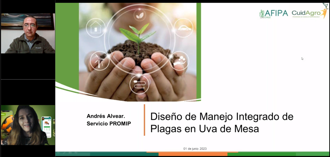 Lee más sobre el artículo CuidAgro realiza webinars gratuitos sobre MIP en  uva de mesa y prevención de riesgos 