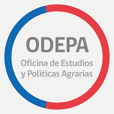 Lee más sobre el artículo AFIPA plantea a ODEPA mejoras para el reglamento de la Ley Apícola