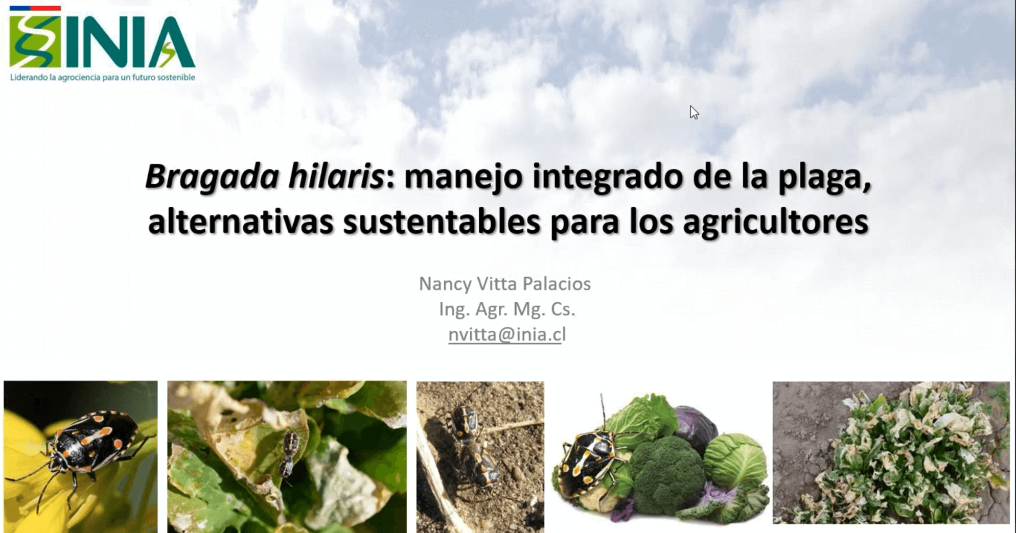 Lee más sobre el artículo CuidAgro realiza webinars sobre protección de polinizadores y MIP para el control de bagrada hiliaris