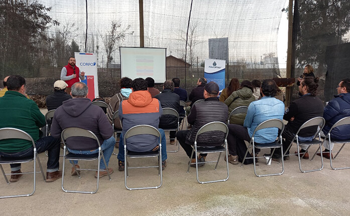 Lee más sobre el artículo Agricultores de Chimbarongo son capacitados por CuidAgro en Manejo Integrado de Plagas en cerezos