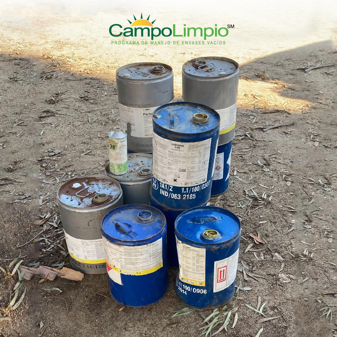 Lee más sobre el artículo 65 agricultores del sector de Quillota entregaron envases a CampoLimpio
