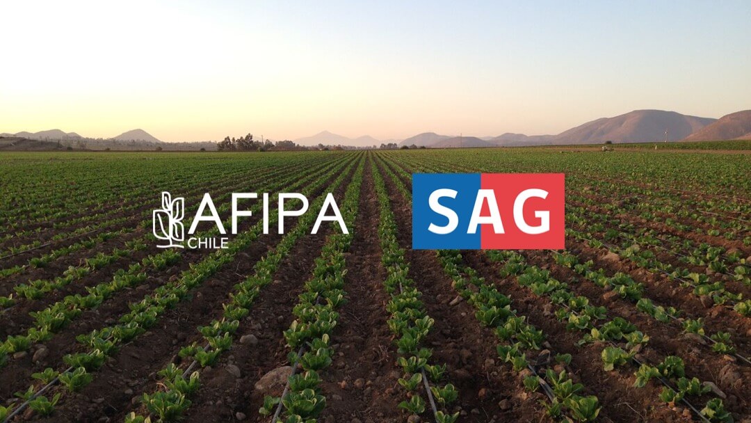 Lee más sobre el artículo SAG y AFIPA tratan temas regulatorios y metodología de evaluación de productos fitosanitarios