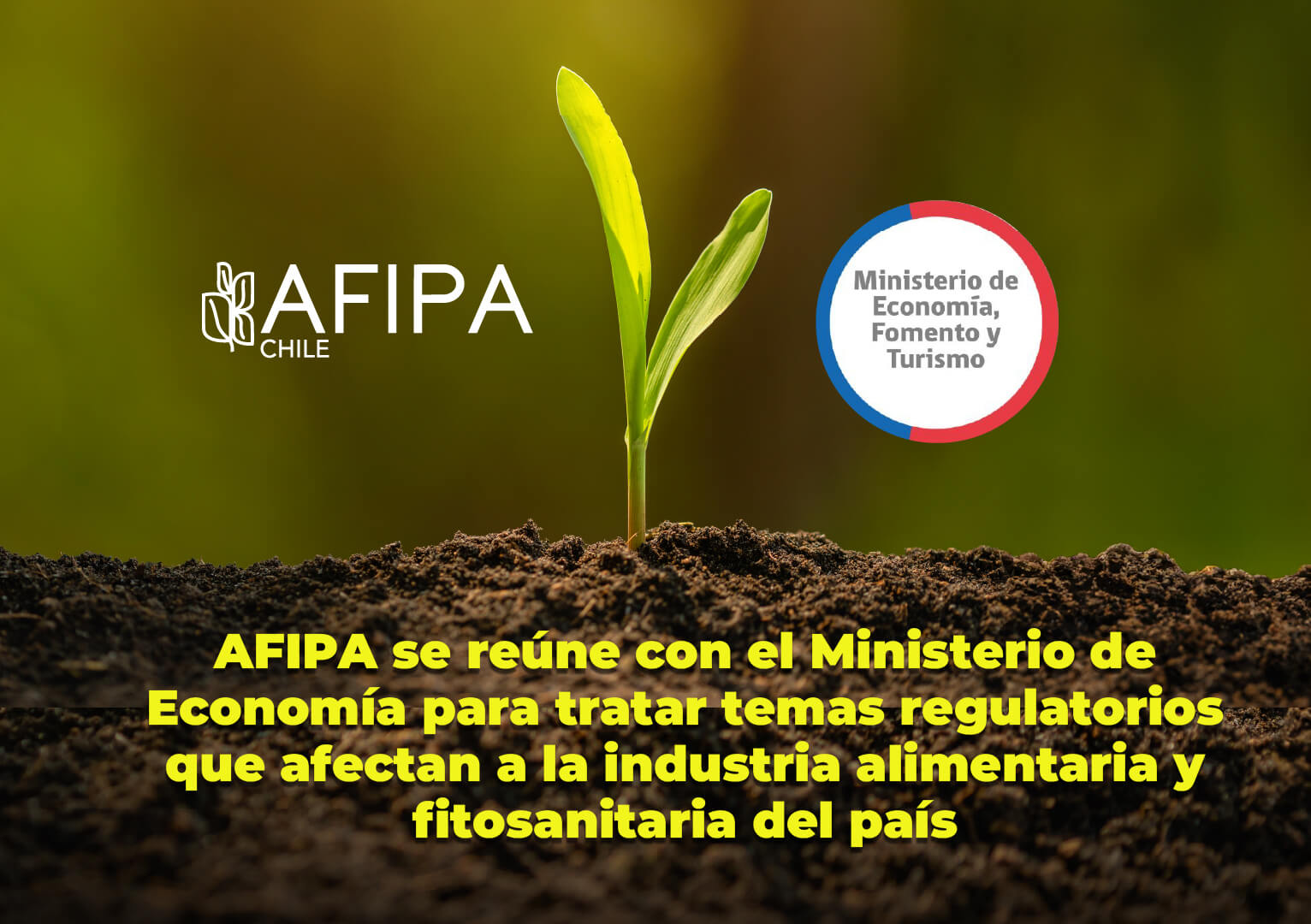 Lee más sobre el artículo AFIPA aborda diversos temas regulatorios en reunión con Ministerio de Economía