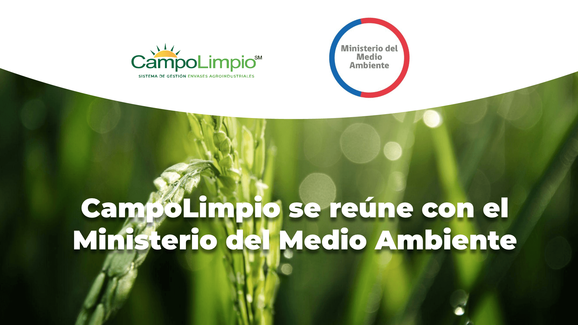 Lee más sobre el artículo El cumplimiento de la Ley REP fue el foco de la reunión entre CampoLimpio y el Ministerio del Medio Ambiente