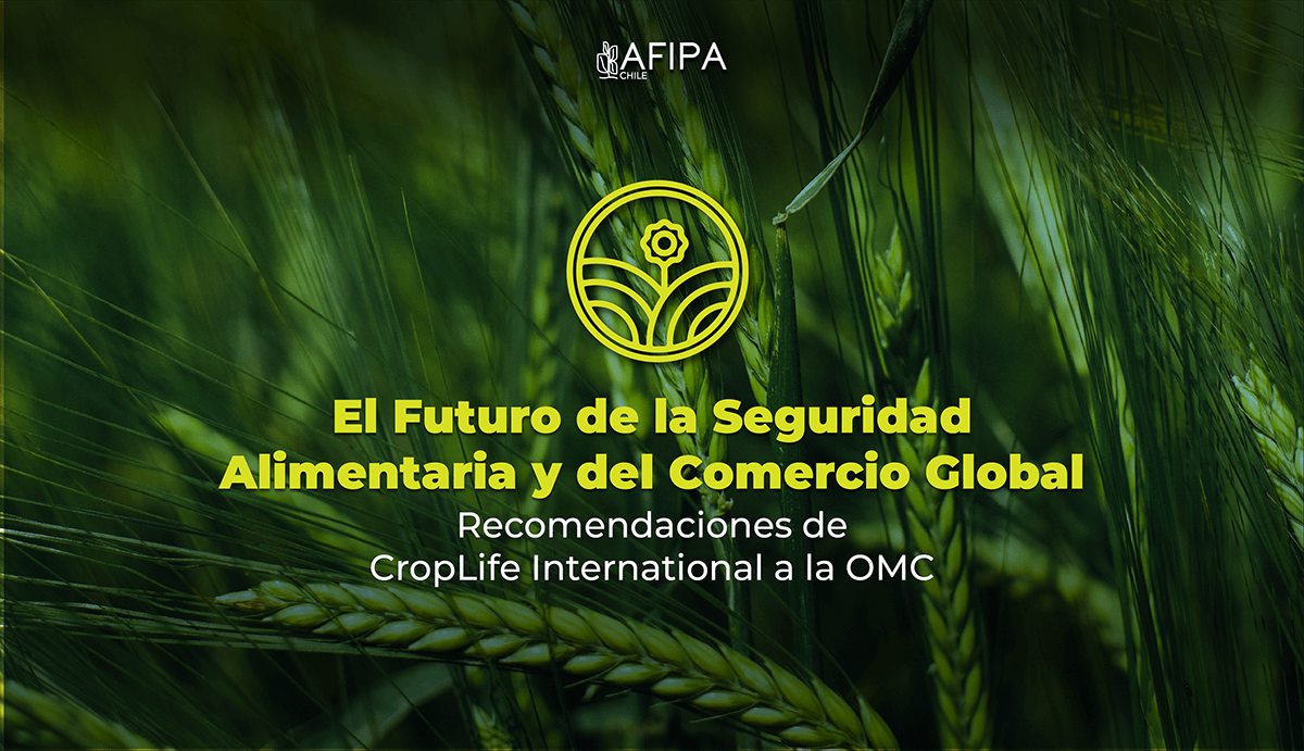 Lee más sobre el artículo El Futuro de la Seguridad Alimentaria y del Comercio Global Recomendaciones de CropLife International a la OMC