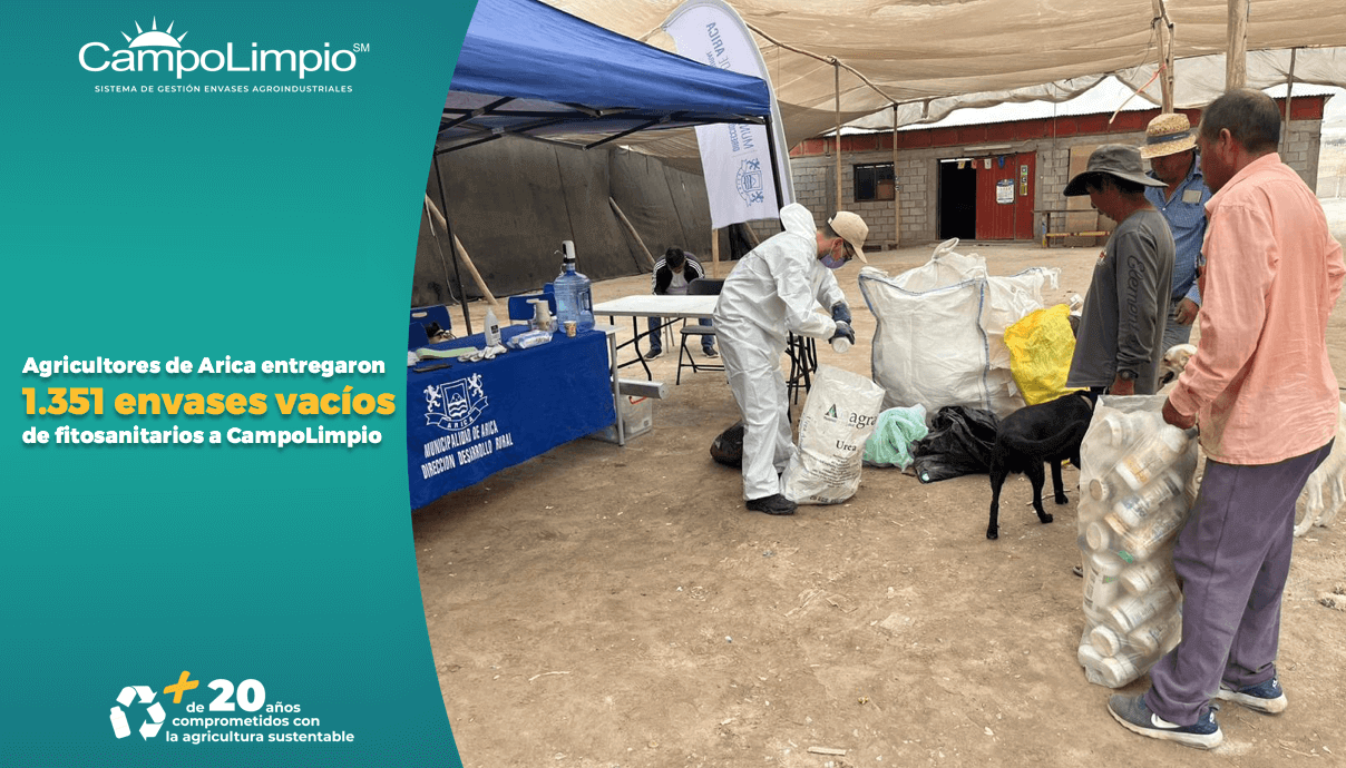 Lee más sobre el artículo CampoLimpio realiza exitosa jornada de recolección de envases en Arica
