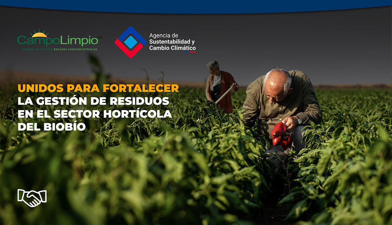 Lee más sobre el artículo CampoLimpio busca apoyar APL del sector hortícola en la Región del Biobío