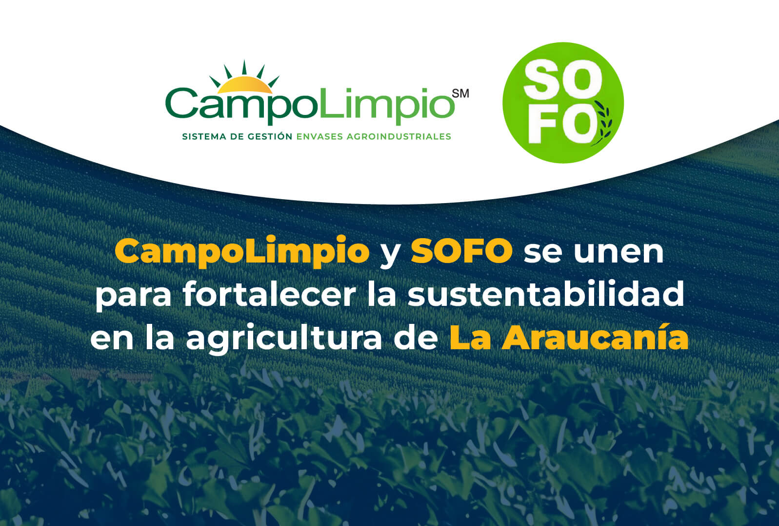 Lee más sobre el artículo CampoLimpio se reúne con el nuevo secretario ejecutivo de SOFO
