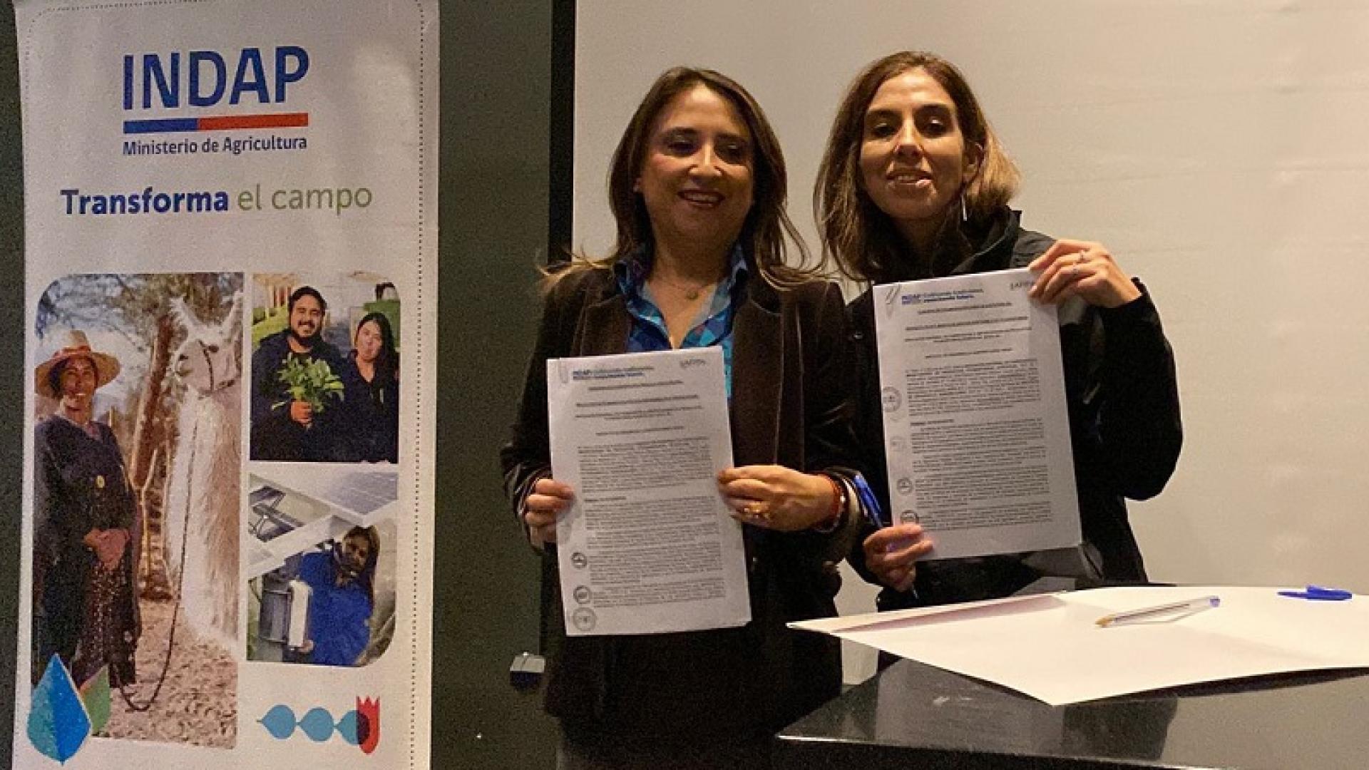 Lee más sobre el artículo Convenio entre INDAP y AFIPA potencia sustentabilidad de cultivos de la agricultura familiar en Maule