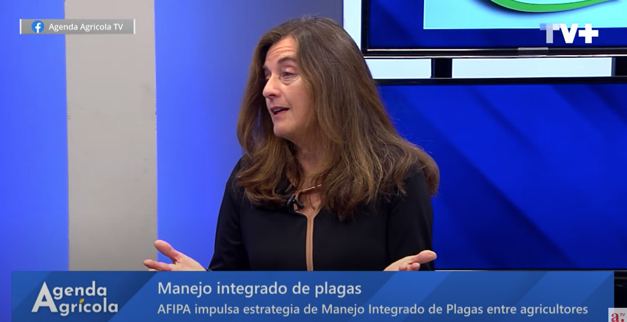 Lee más sobre el artículo ¿Cómo enfrentamos las plagas en la agricultura? Entrevista a Roxane Flores, de AFIPA, en Agenda Agrícola.