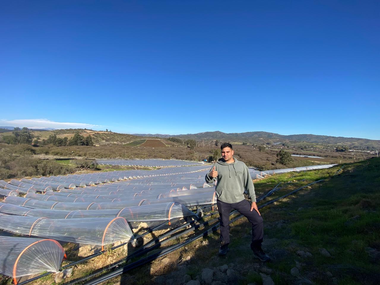 Lee más sobre el artículo “Demostrar que no es tan difícil”: el testimonio de Paolo Jerez, agricultor de frutillas y parte del proyecto Agricultura Sostenible en Acción de AFIPA