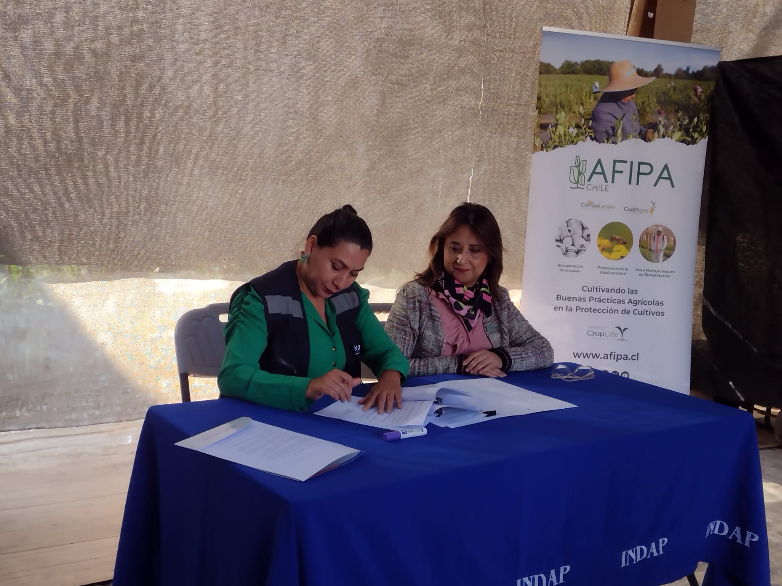 Lee más sobre el artículo AFIPA lanza proyecto Agricultura Sostenible en Acción en Arica con huertos piloto y convenio con INDAP