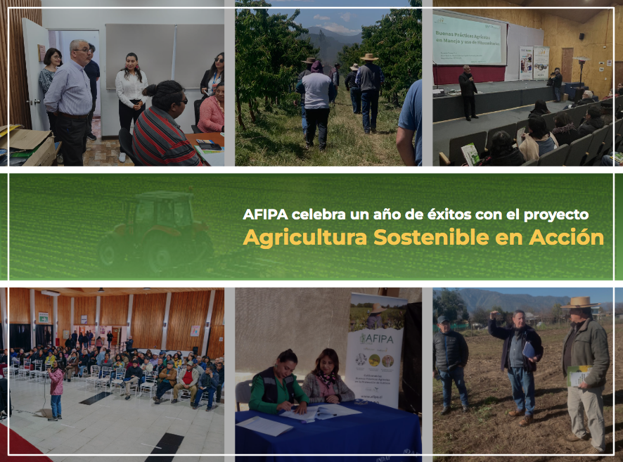 Lee más sobre el artículo Proyecto “Agricultura Sostenible en Acción” de AFIPA cumple un año fortaleciendo la Agricultura Familiar Campesina de Chile
