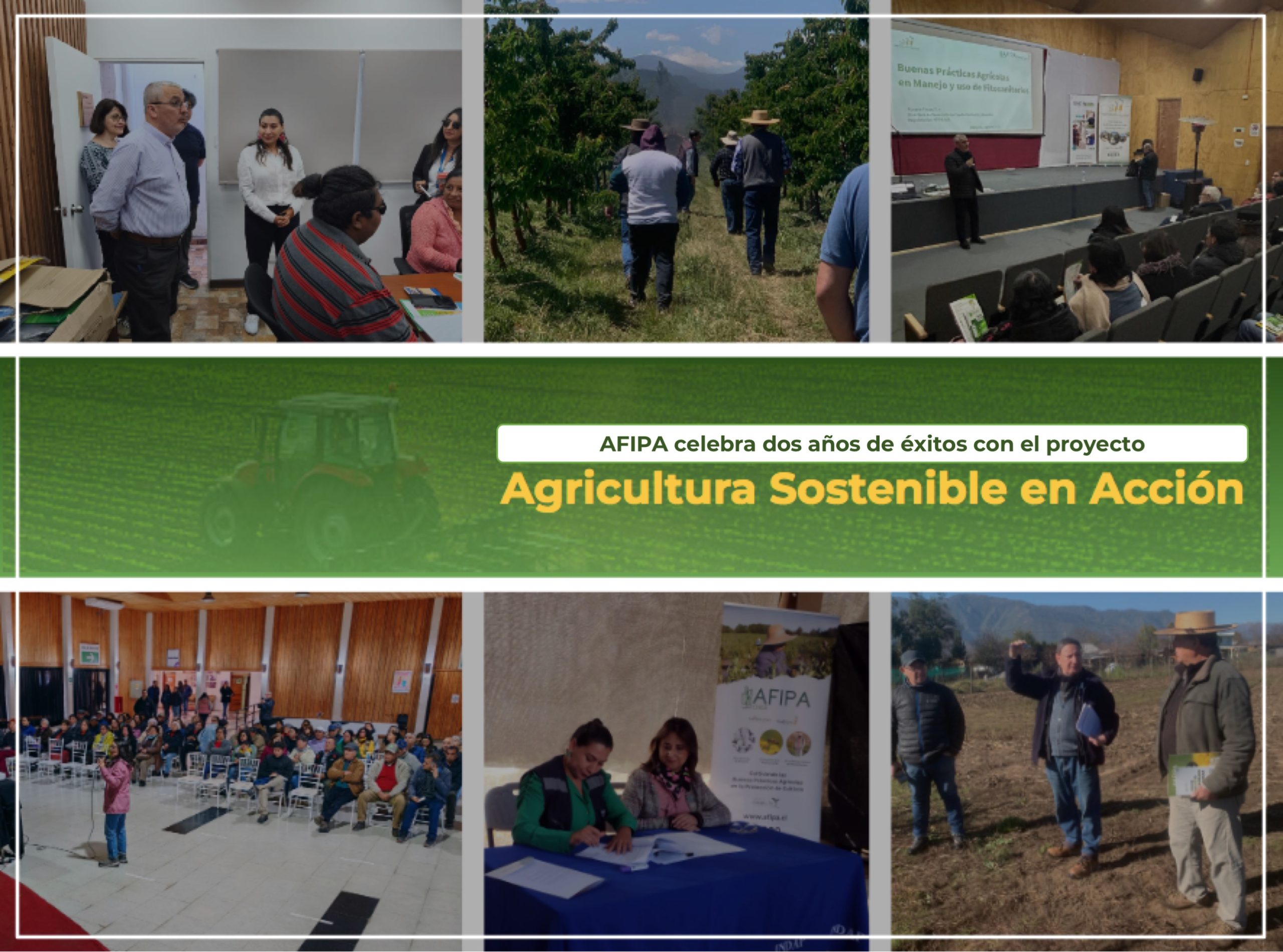 Lee más sobre el artículo Proyecto “Agricultura Sostenible en Acción” de AFIPA cumple dos años fortaleciendo la Agricultura Familiar Campesina de Chile