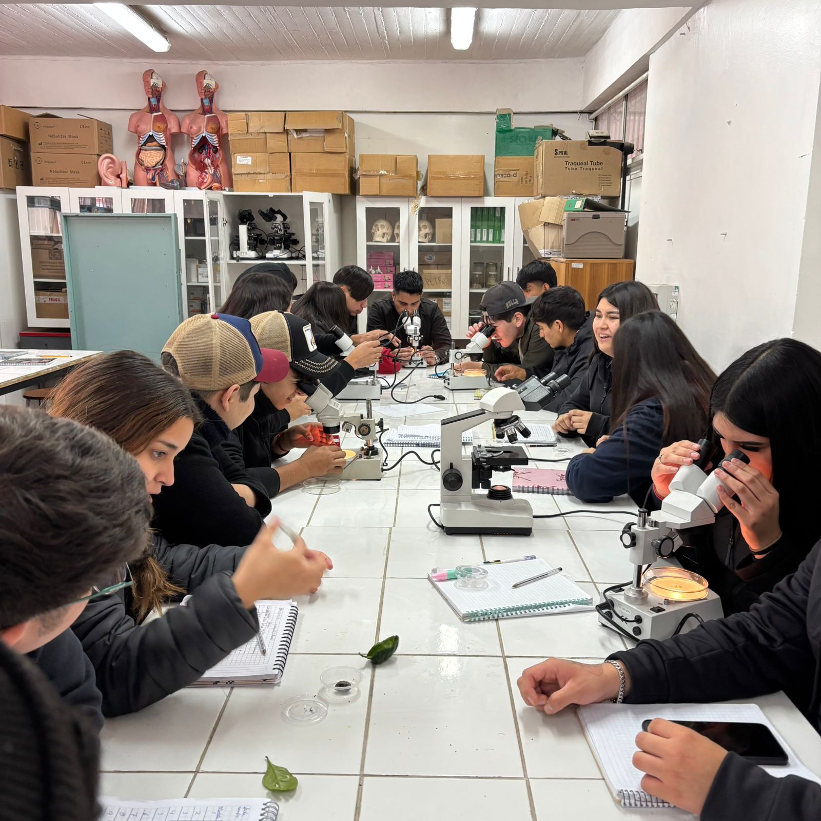 Lee más sobre el artículo Futuros técnicos agrícolas se capacitan en sostenibilidad y manejo seguro de fitosanitarios
