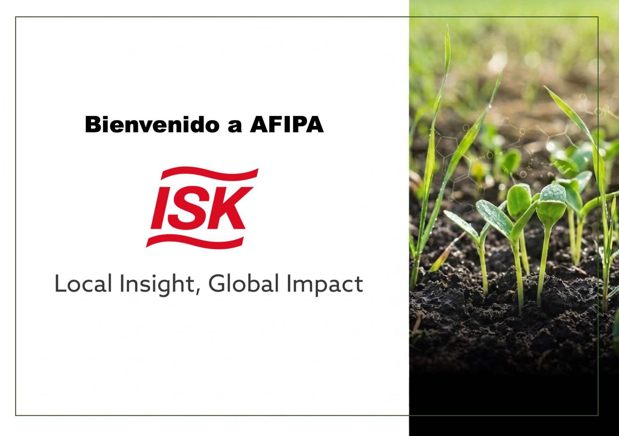Lee más sobre el artículo ISK Biosciences se suma a la red de empresas socias de AFIPA