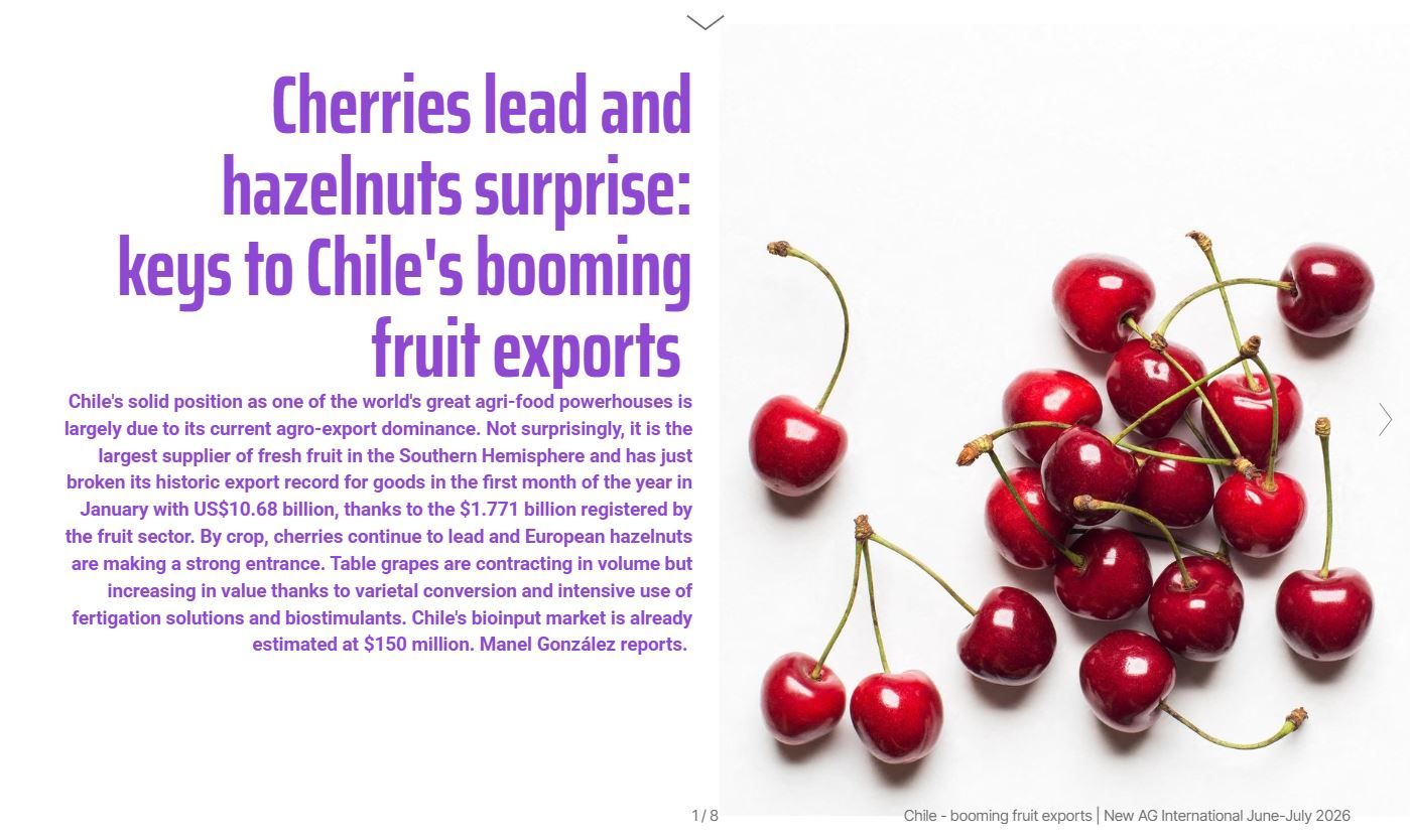 Lee más sobre el artículo La cereza lidera y el avellano sorprende: claves del auge de las exportaciones de fruta de Chile